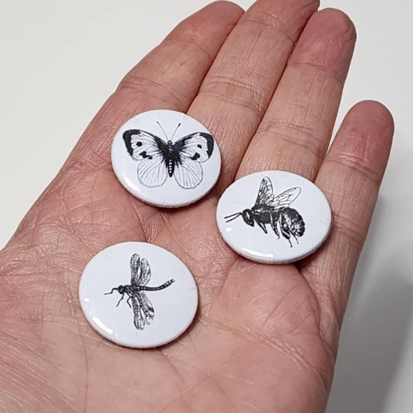 Insect pins - butterfly bee dragonfly - Picture 2 of 6